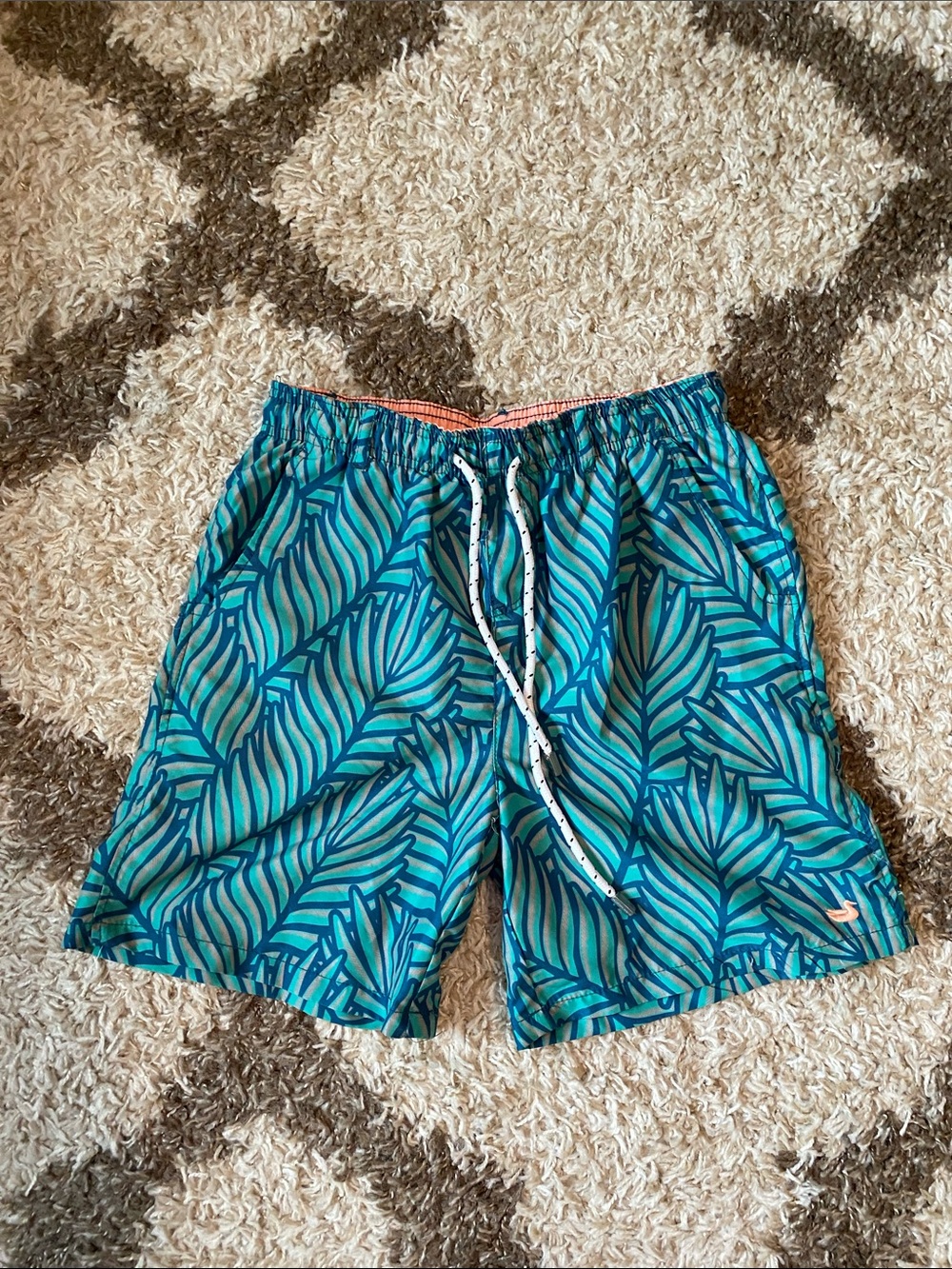 Boys Southern Marsh swim trunks